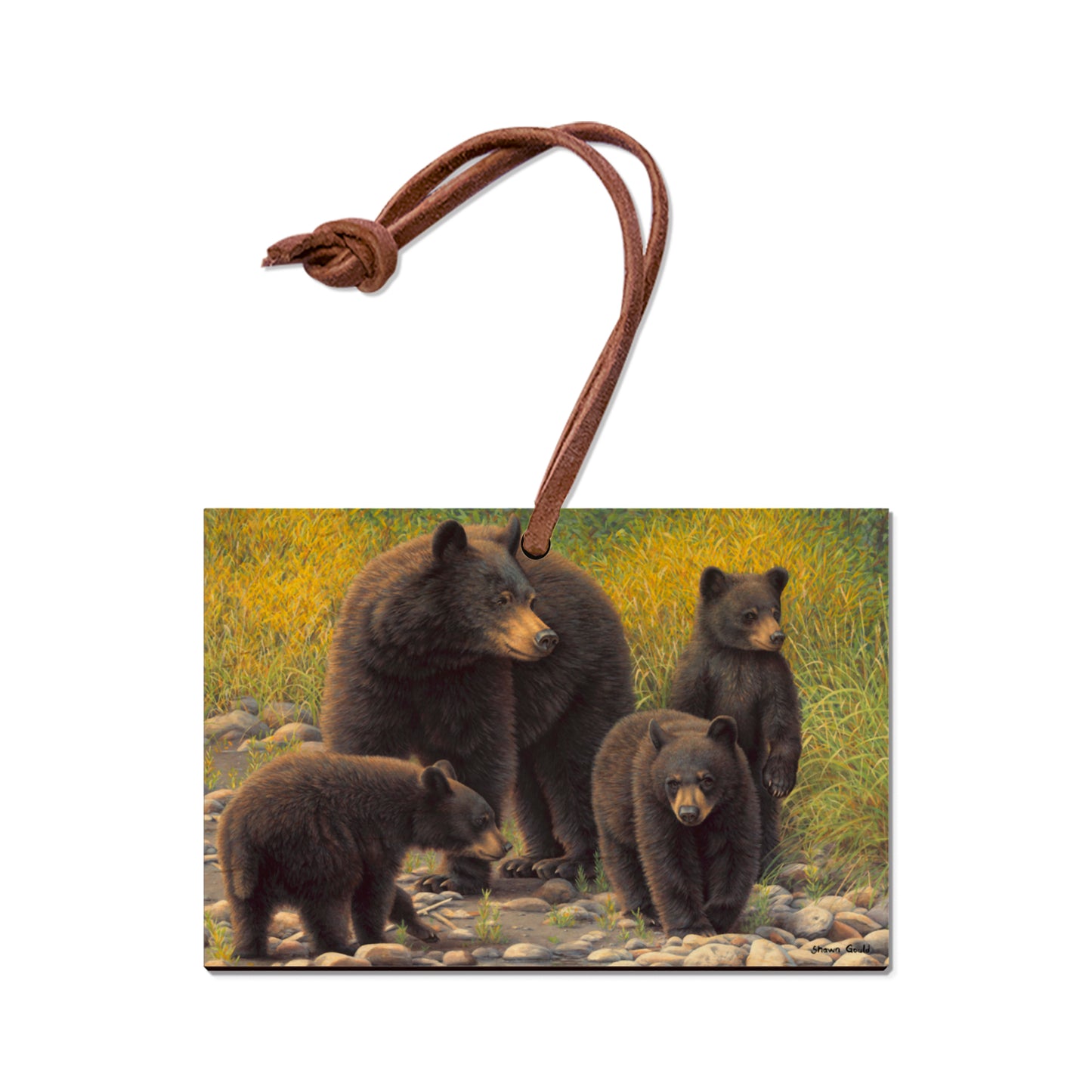 Gould's Family Outing - Small Art & Gift Ornament (5pk // $2.80ea)