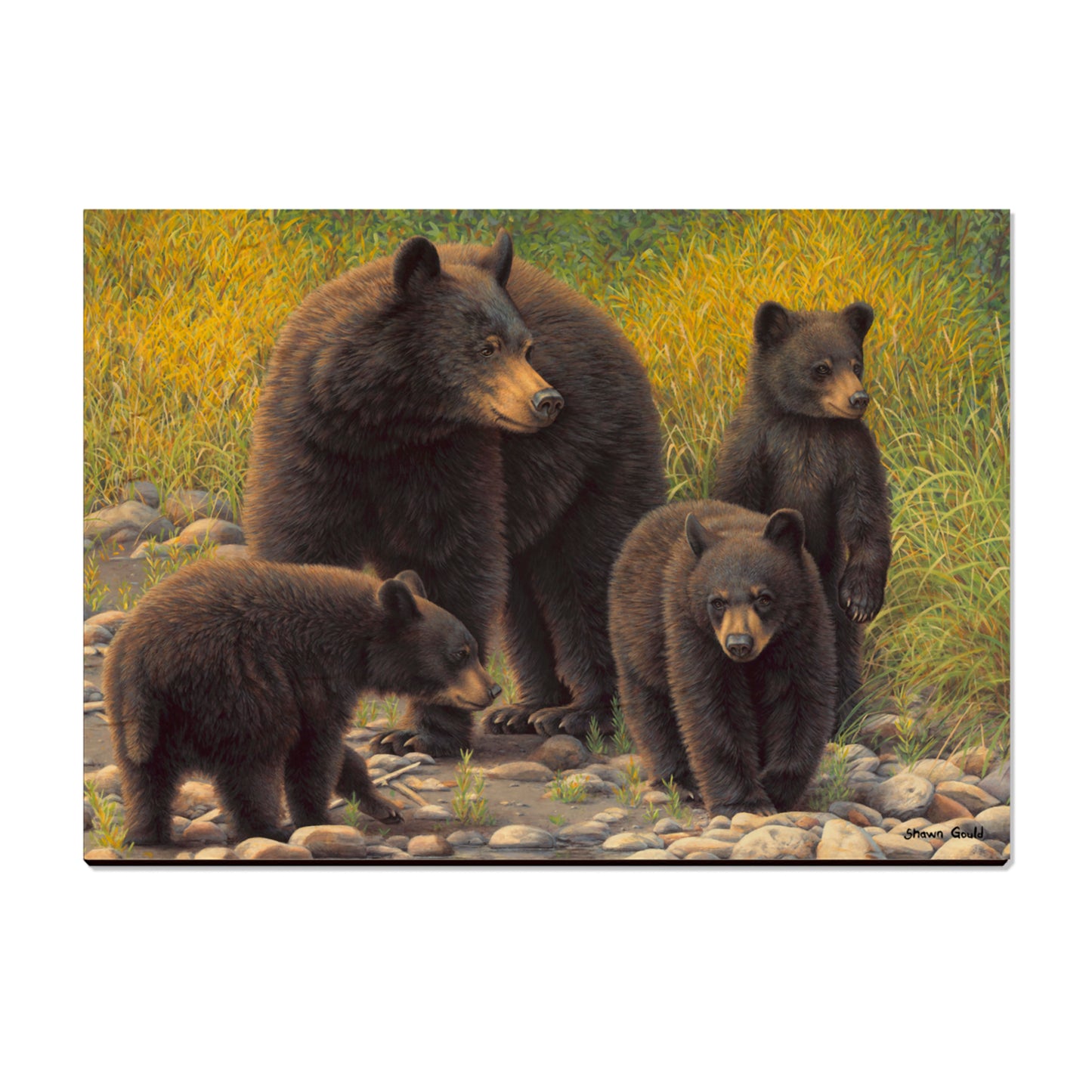 Gould's Family Outing - Small Art & Gift Postcard (5pk // $2.80ea)