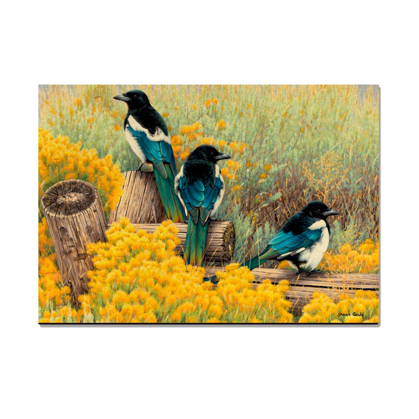 Gould's Fence Tapestry - Small Art & Gift Magnet (5pk // $2.80ea)