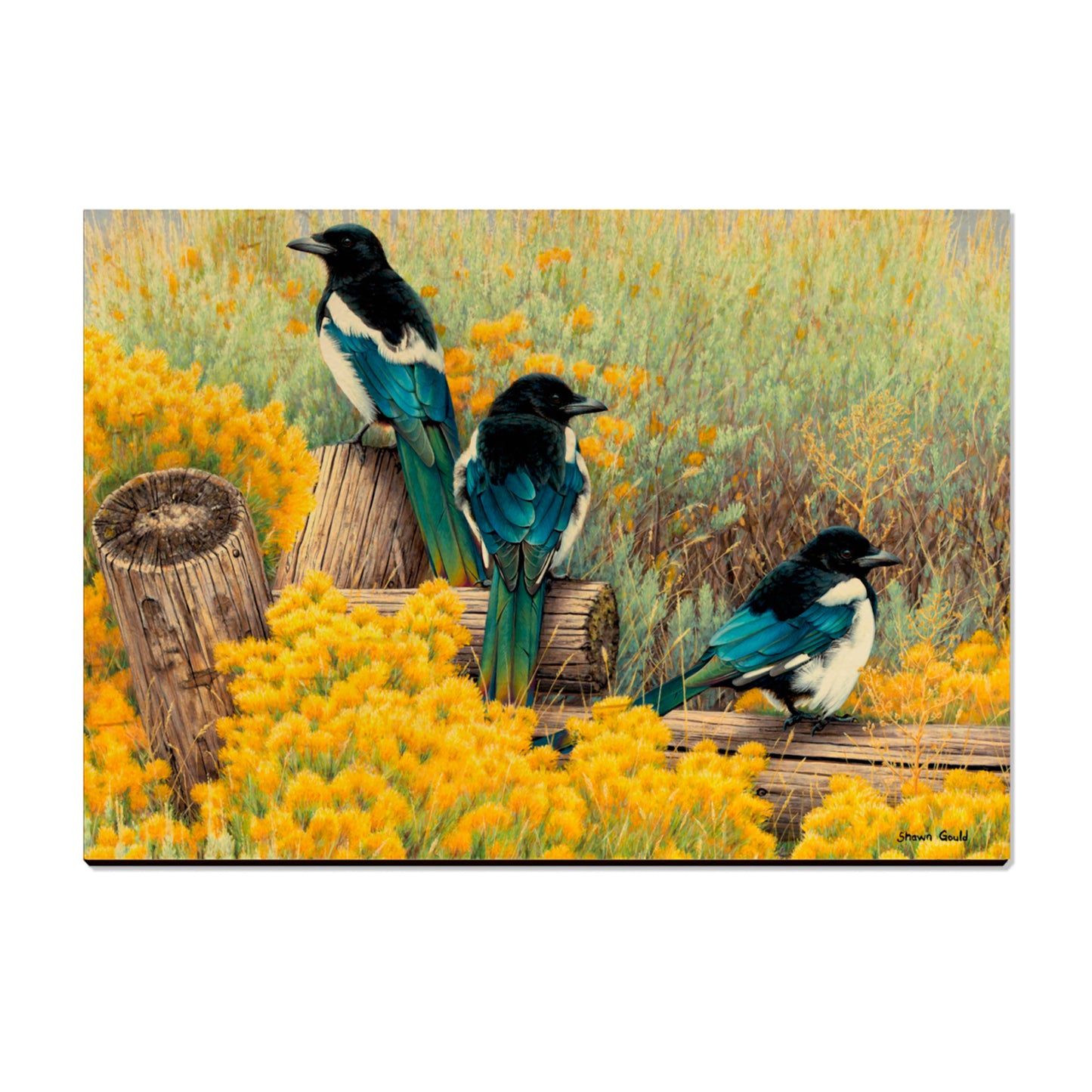 Gould's Fence Tapestry - Small Art & Gift Postcard (5pk // $2.80ea)