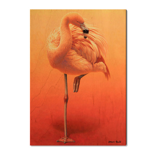 Gould's Hot Pink - Small Art & Gift Postcard (5pk // $2.80ea)