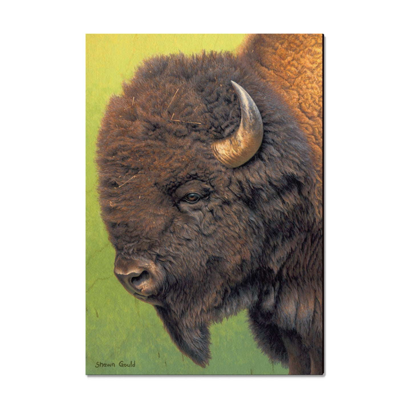 Gould's In His Prime - Small Art & Gift Magnet (5pk // $2.80ea)