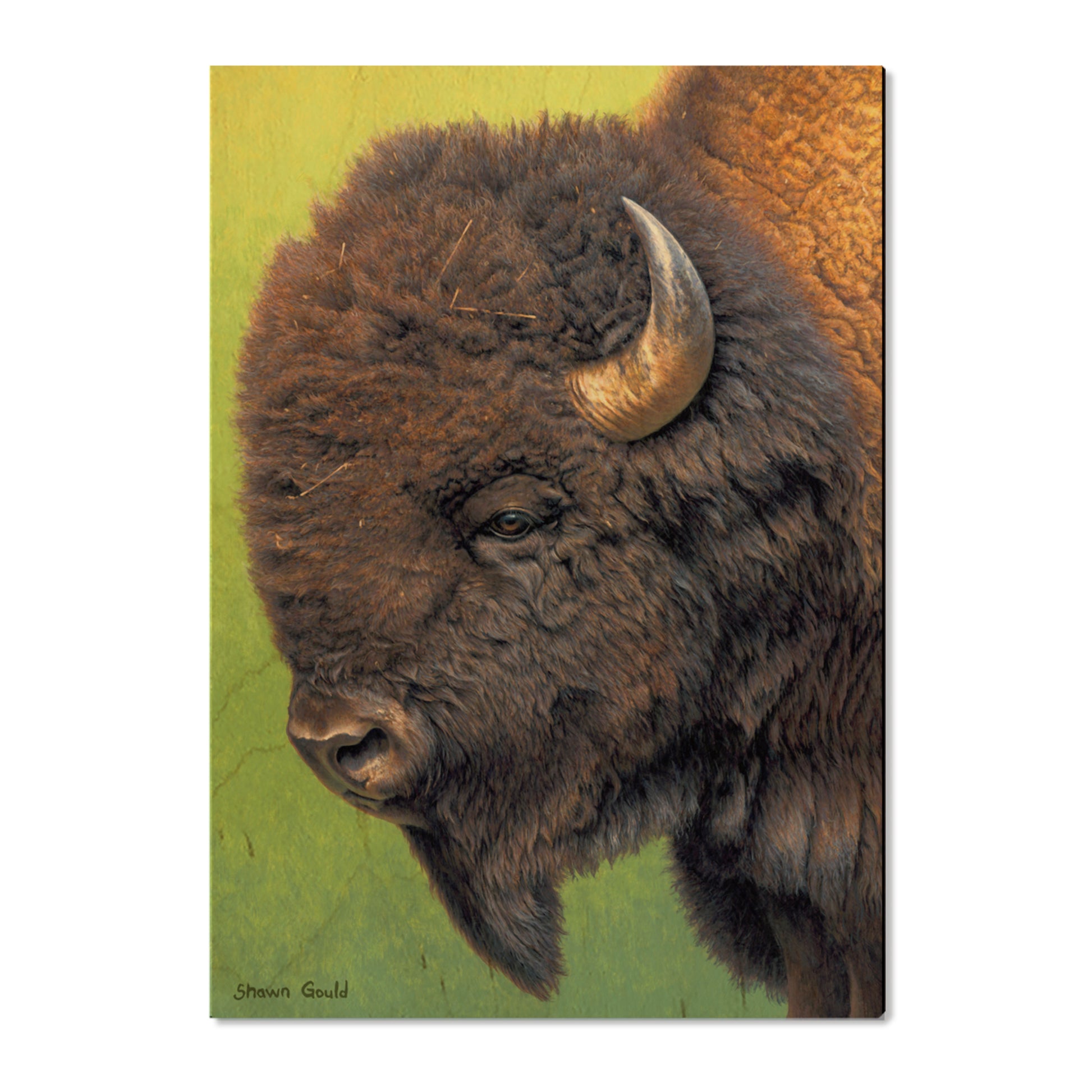 Gould's In His Prime - Small Art & Gift Postcard (5pk // $2.80ea)