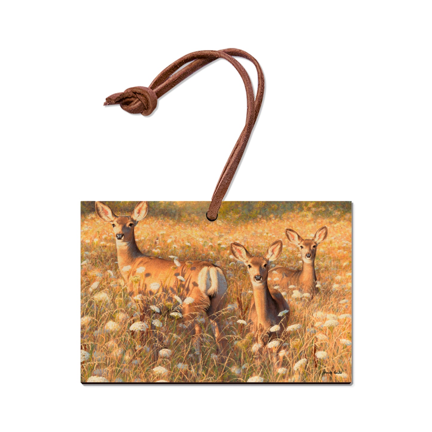 Gould's Light and Lace - Small Art & Gift Ornament (5pk // $2.80ea)