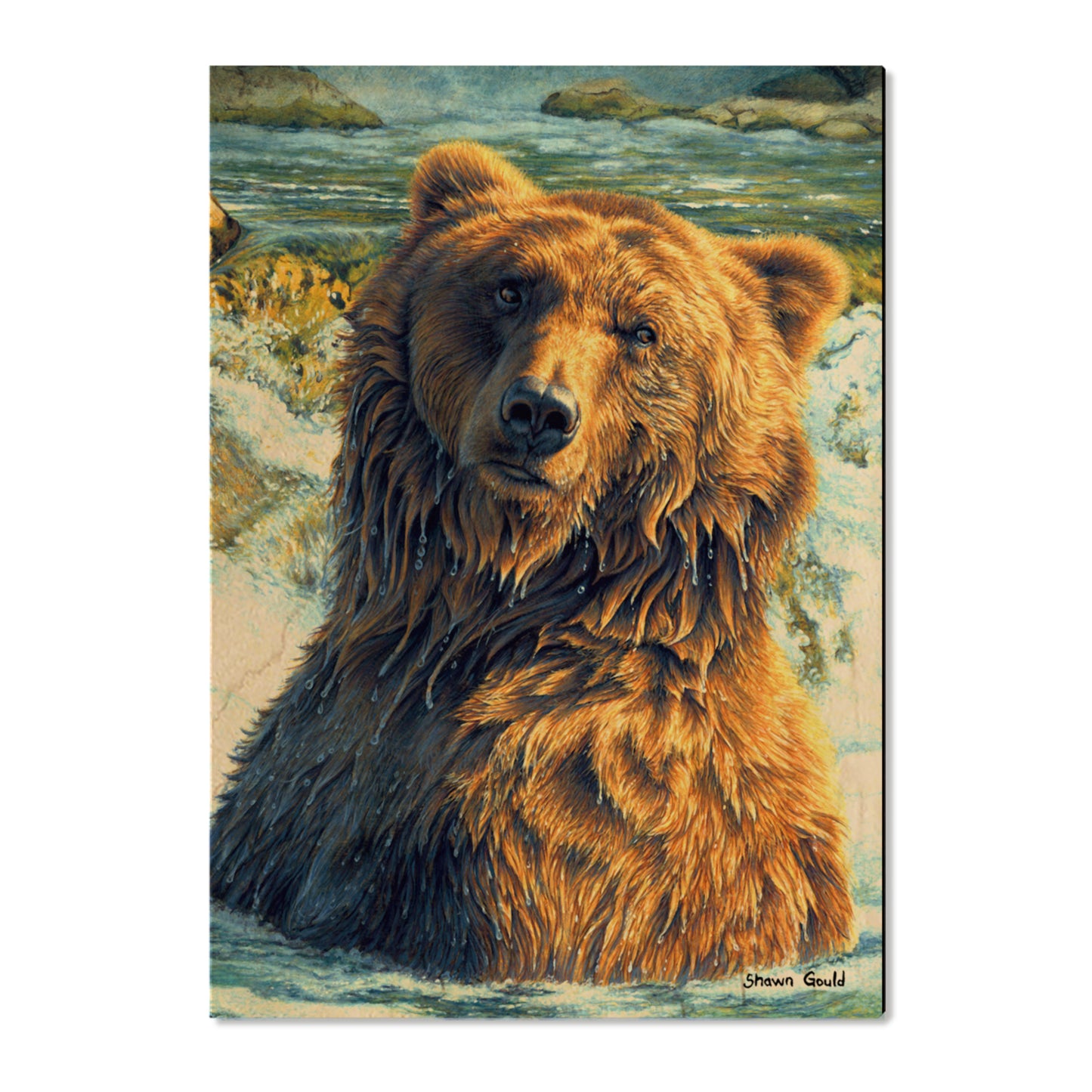 Gould's Shangri-La - Small Art & Gift Postcard (5pk // $2.80ea)