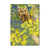 Gould's Summer Screech - Small Art & Gift Magnet (5pk // $2.80ea)