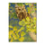 Gould's Summer Screech - Small Art & Gift Postcard (5pk // $2.80ea)