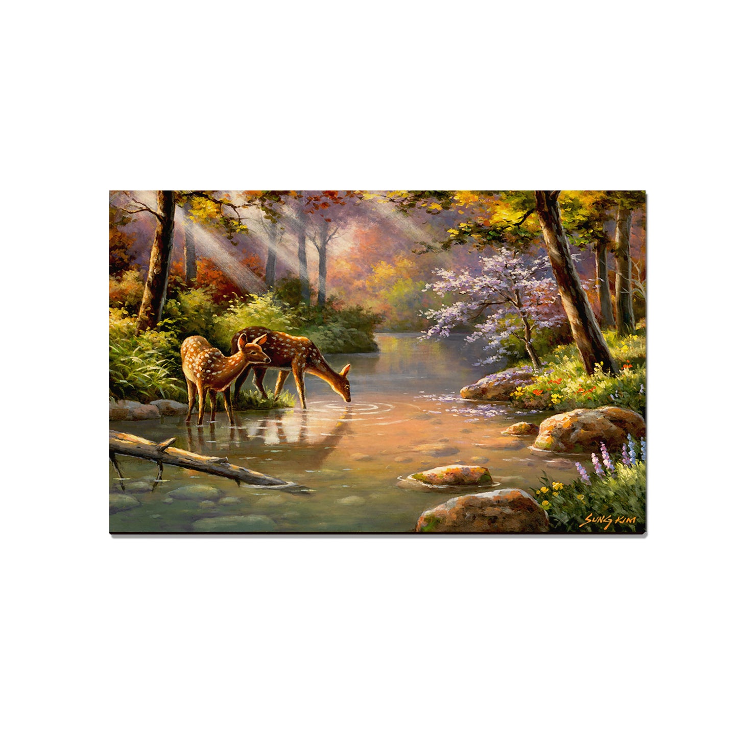 Kim's Deer In Stream - Classic Edge