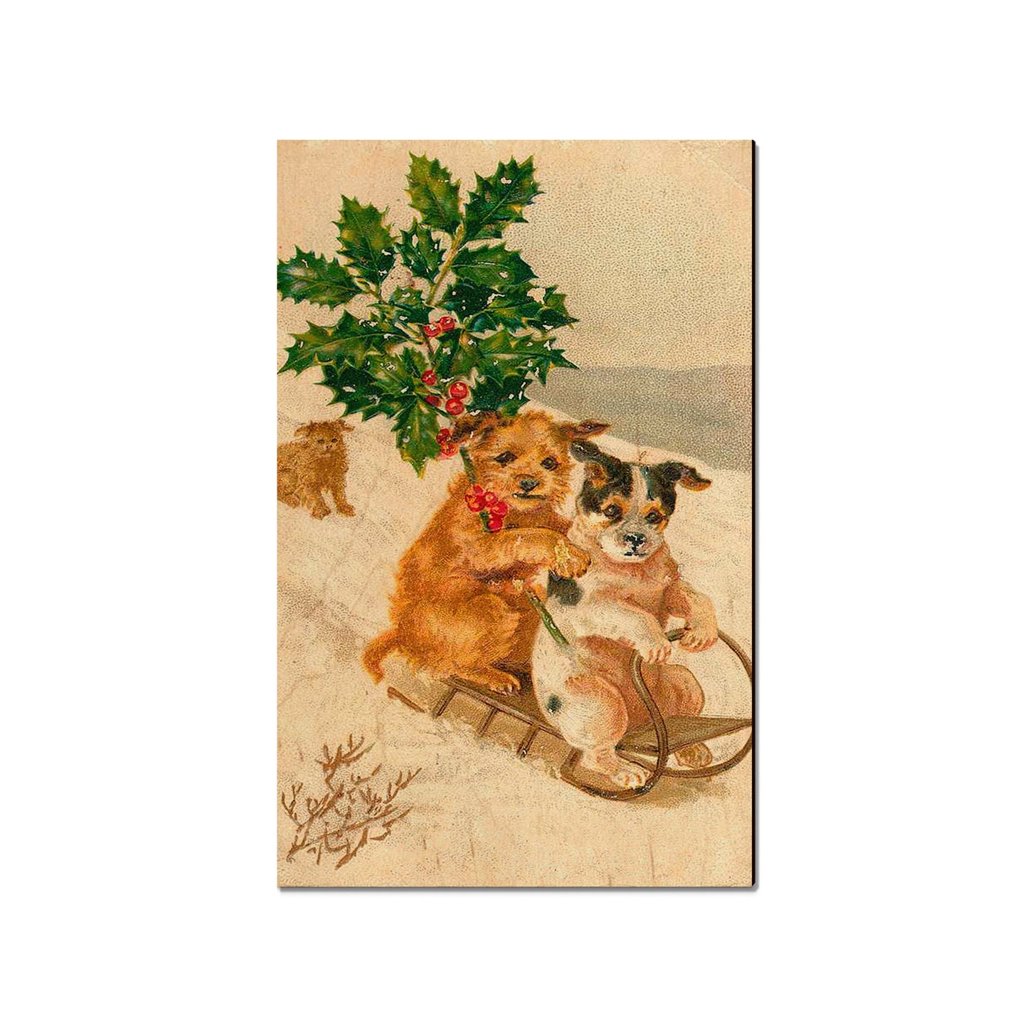 Sleigh Dogs - Holiday - Classic Edge