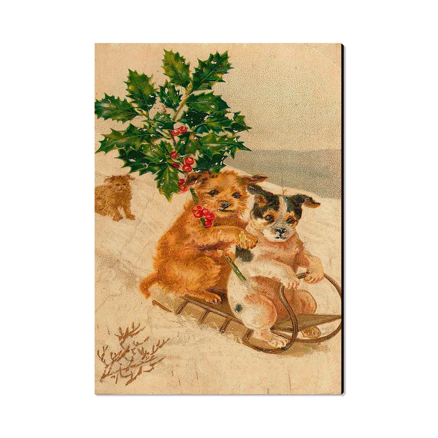 Sleigh Dogs - Holiday - Classic Edge
