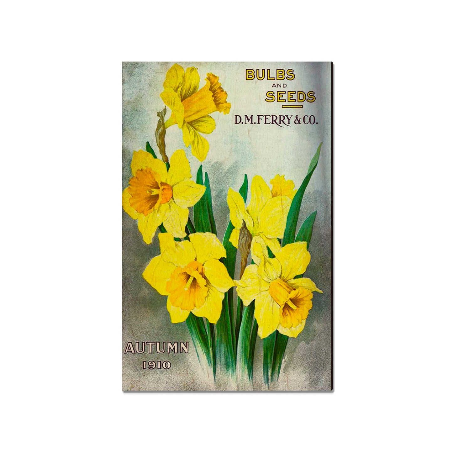 Bulbs and Seeds - Classic Edge