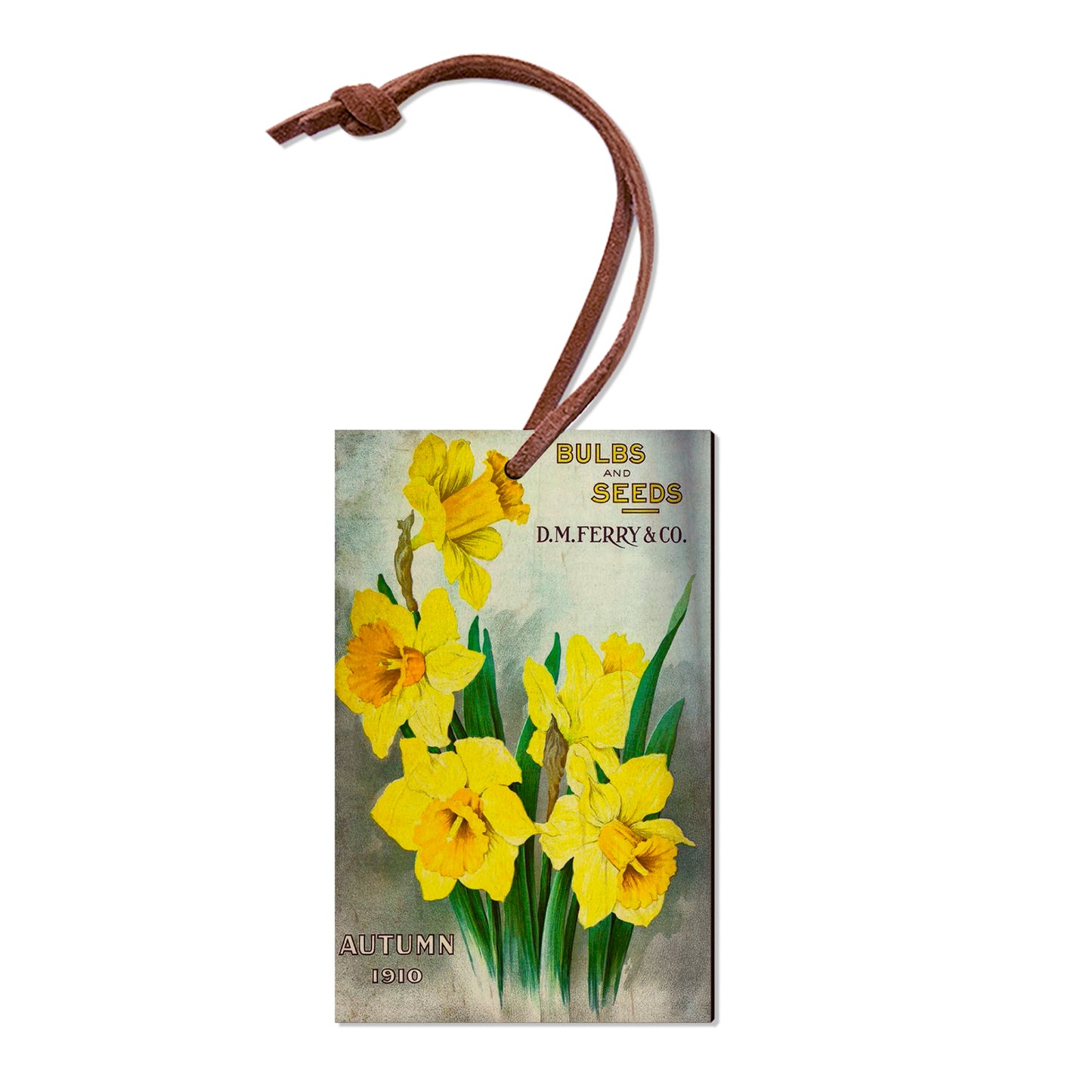 Bulbs and Seeds - Classic Edge
