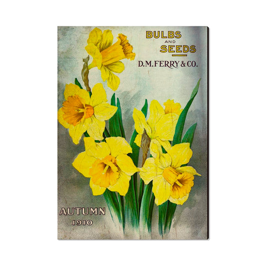 Bulbs and Seeds - Classic Edge