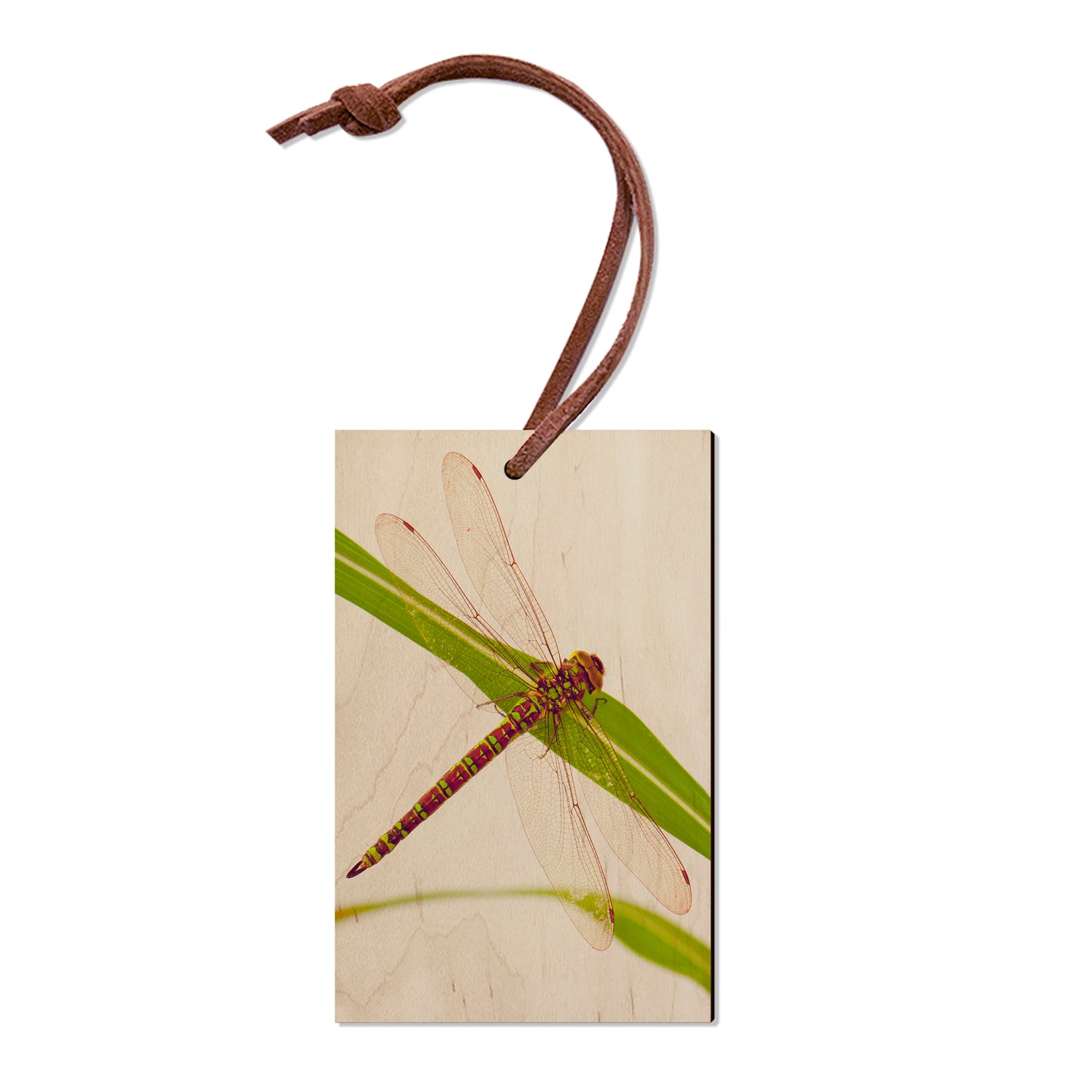 Dragonfly - Classic Edge
