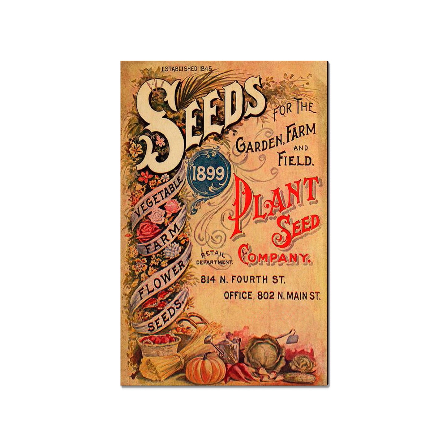 Vintage Seeds - Classic Edge
