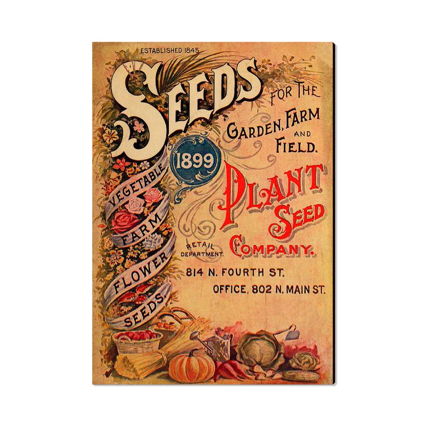 Vintage Seeds - Classic Edge