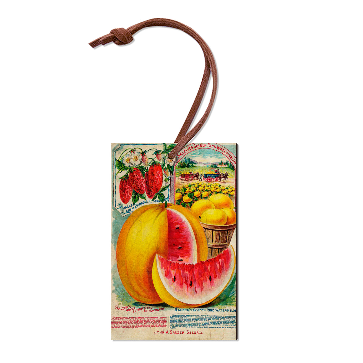 Salzer Melons - Classic Edge