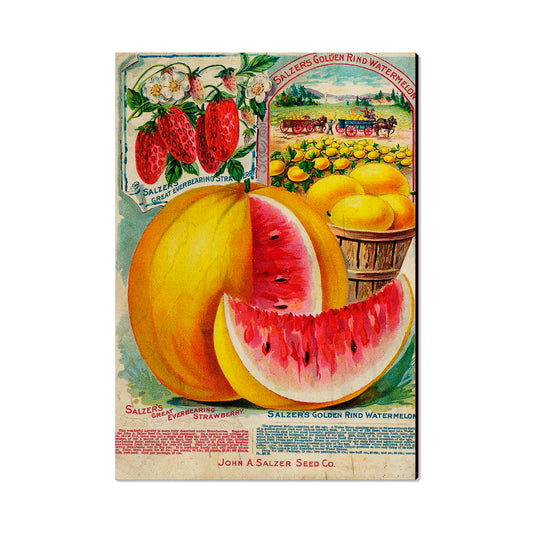 Salzer Melons - Classic Edge