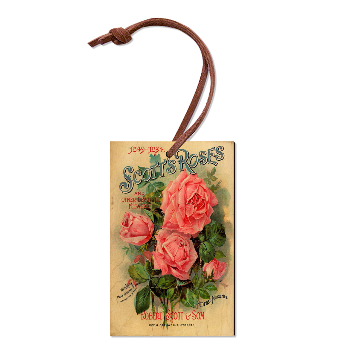 Scott's Roses - Classic Edge