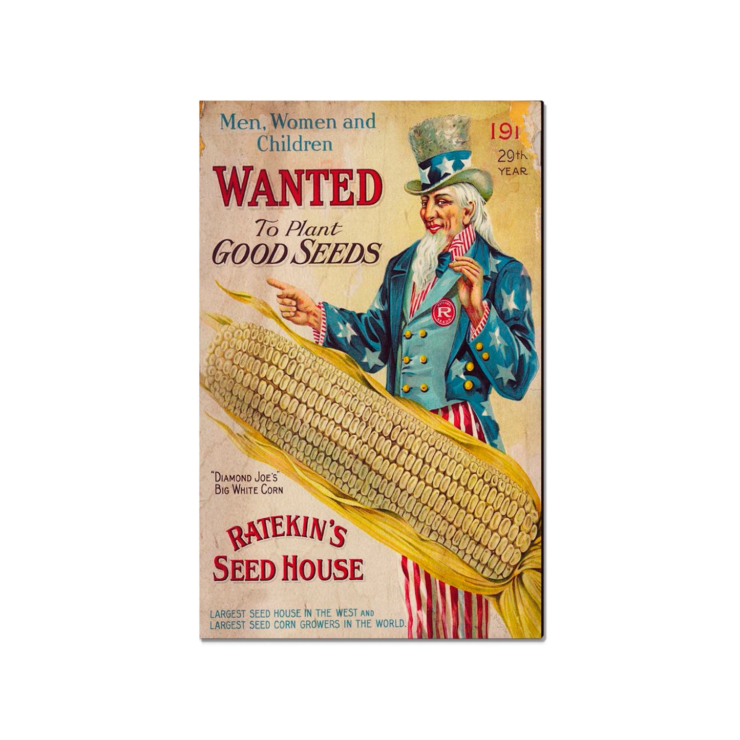 Wanted Corn - Classic Edge